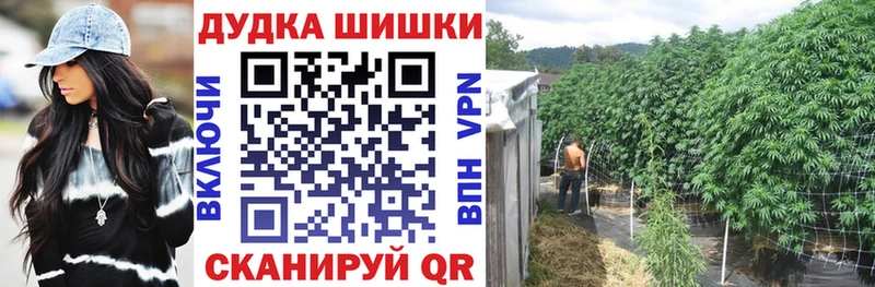 Наркошоп купить Конопля  Псилоцибиновые грибы  ГАШ  МЕФ  Сланцы